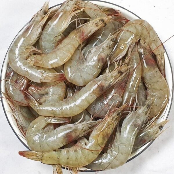 Fresh Prawns