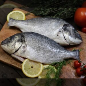 Fresh Sea Bream
