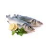 Sea bass whole