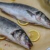 Sea bass whole fish