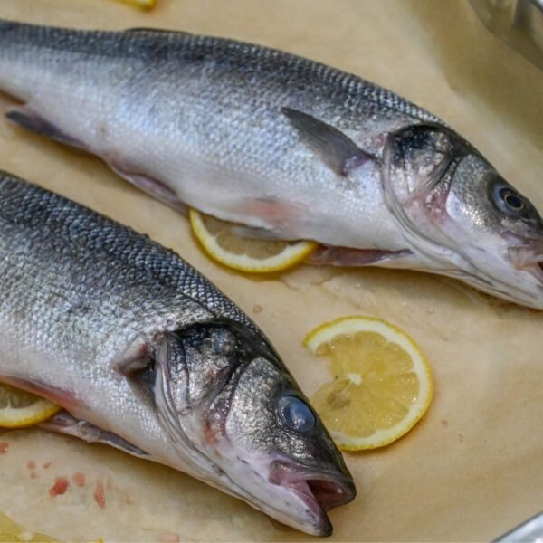 Sea bass whole fish